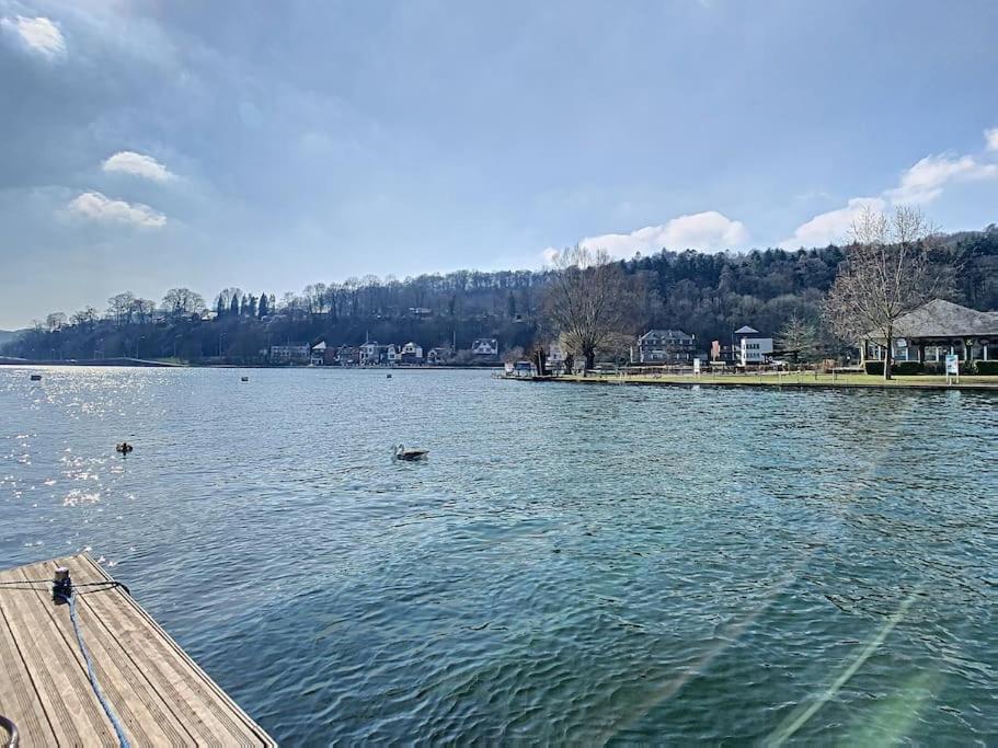 Vue Sur Meuse Avec Jacuzzi Et Sauna Exterieur. Yvoir Eksteriør billede
