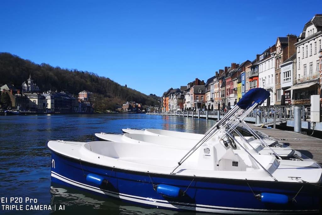 Vue Sur Meuse Avec Jacuzzi Et Sauna Exterieur. Yvoir Eksteriør billede