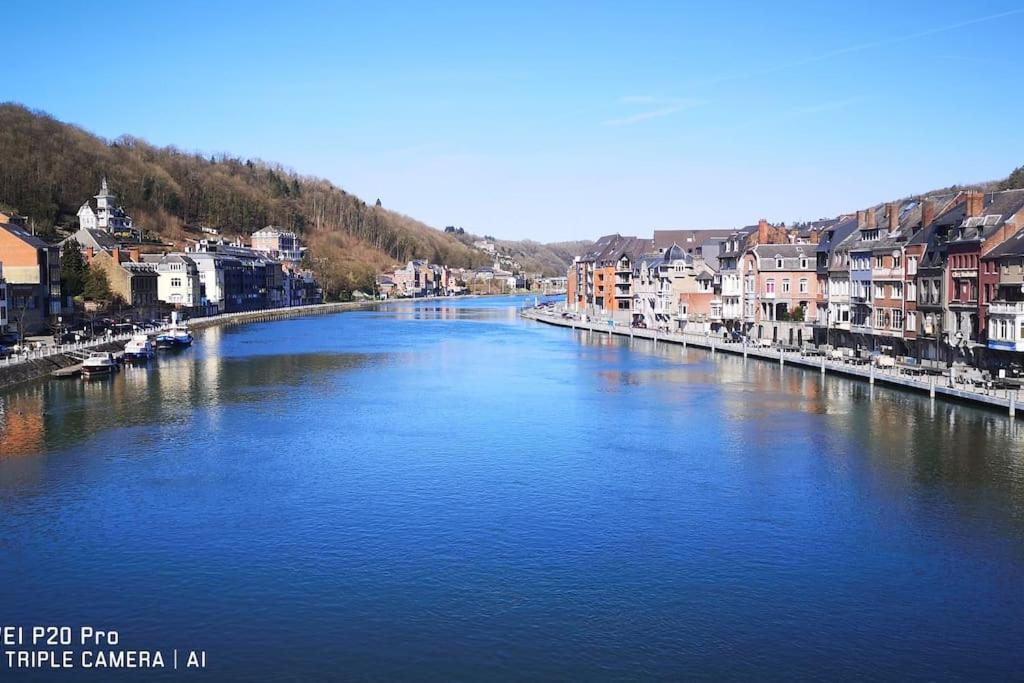 Vue Sur Meuse Avec Jacuzzi Et Sauna Exterieur. Yvoir Eksteriør billede