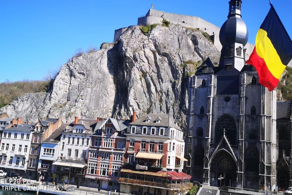 Vue Sur Meuse Avec Jacuzzi Et Sauna Exterieur. Yvoir Eksteriør billede